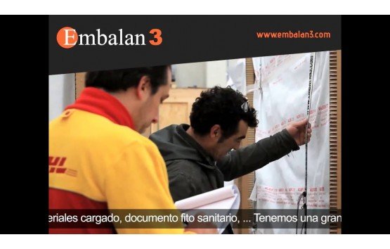 EMBALAN-3 Etiquetado y gestión y administración de la documentación